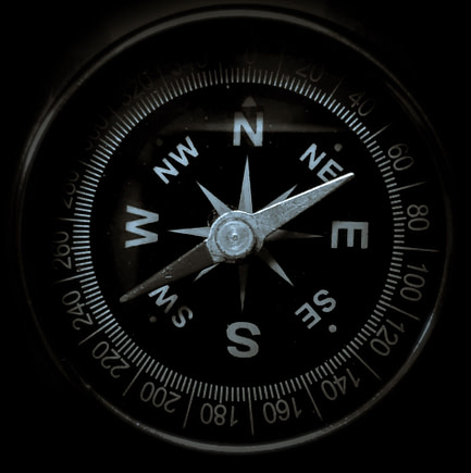 website graphic 4