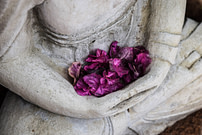 Photo by Chris Ensey on Unsplash