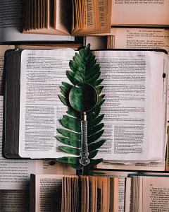 magnifying glass on book