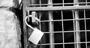 padlock on metal gate during daytime