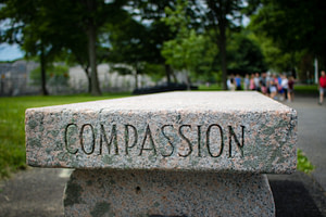 gray concrete tomb stone with no people