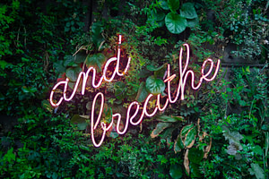 and breathe neon sign on tre