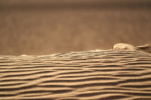 brown sand with shadow of person
