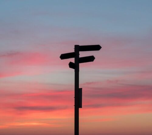 silhouette of a road signage during golden hour
