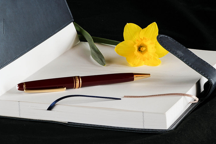 diary, journal, book
