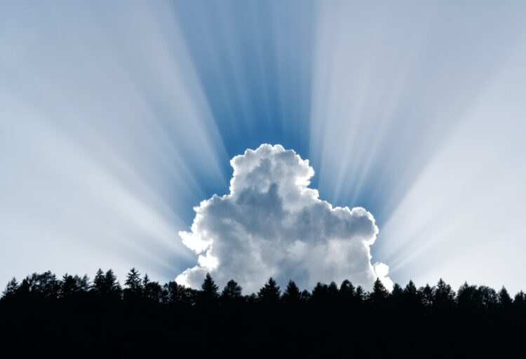 photography of clouds and forest trees