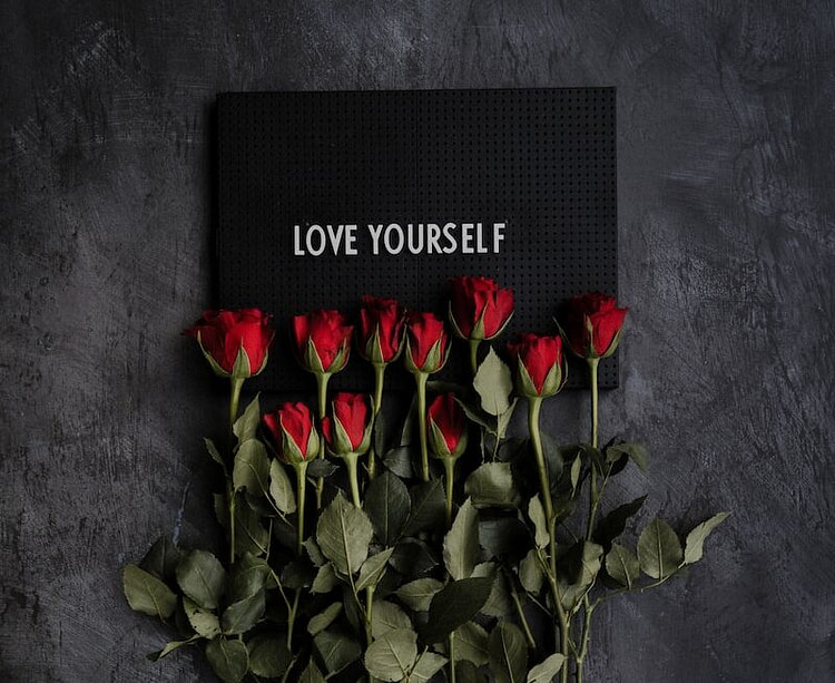 red rose on gray textile