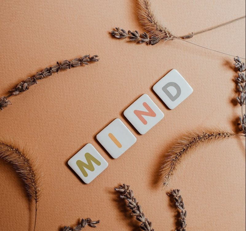 Photograph of Mind Text Near Dry Flowers