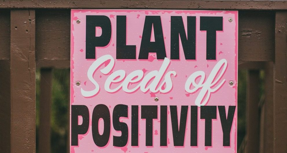 pink and white wooden signage