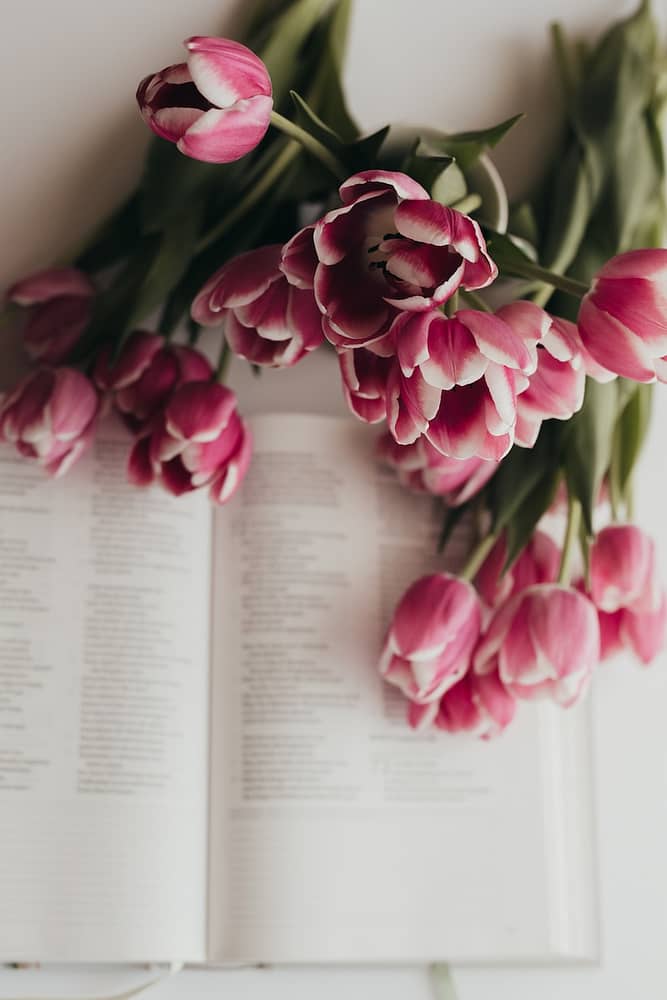 a bunch of pink flowers sitting on top of an open book