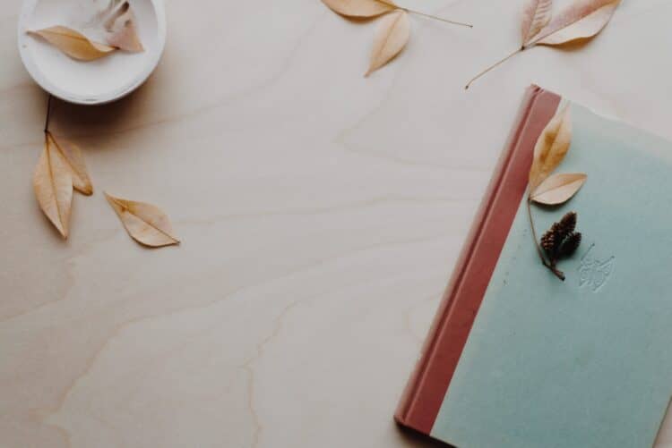 brown and blue hardbound book